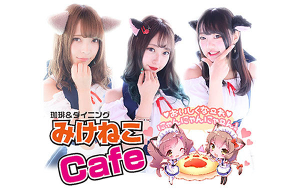 みけねこカフェ秋葉原店のイメージ